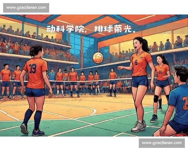 男排改革正当时：向女排看齐，构建青训新生态